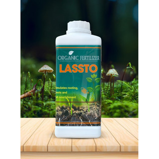 hữu cơ amino nhập khẩu Pháp LASSTO