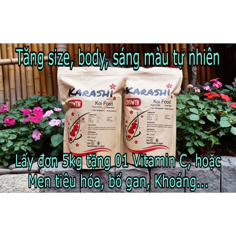 Cám Cá Koi Karashi 45% Đạm