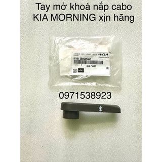Tay mở khoá nắp cabo kia morning hàng xịn chính hãng 81181 2b000gah