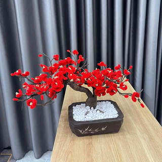 Cây đào cây mai bonsai kẽm nhung