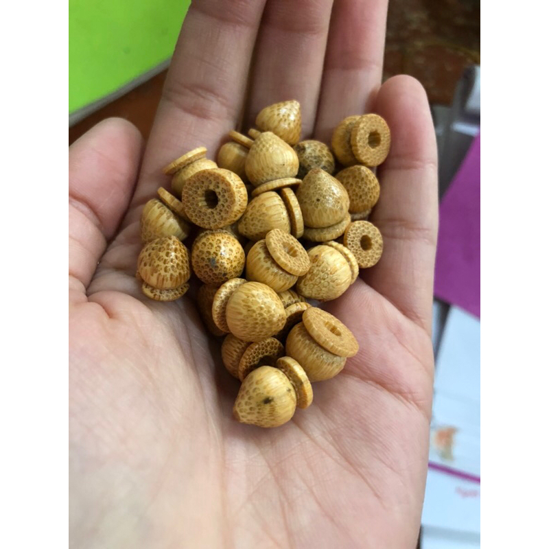Bi gắn nóc trụ lồng chim XƯỞNG LỒNG HUYỀN AN