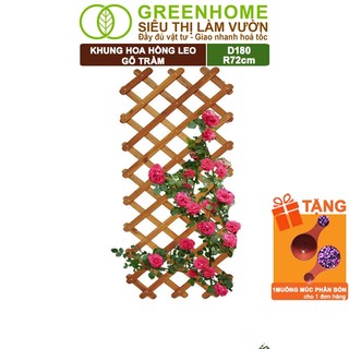 Khung Hoa Hồng Leo Greenhome, R72xc180cm,Treo Ban Công, Làm Khung Đỡ Cây Leo, Treo Chậu