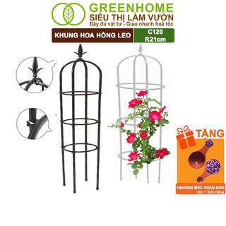 Khung Hoa Hồng Leo Greenhome, Daim, Nhật Bản, Daim, C120xR21cm, Khung Cây Leo, Độ Bền 5 Năm