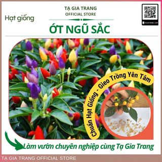 Hạt giống Ớt ngũ sắc - Tập làm vườn cùng Tạ Gia Trang