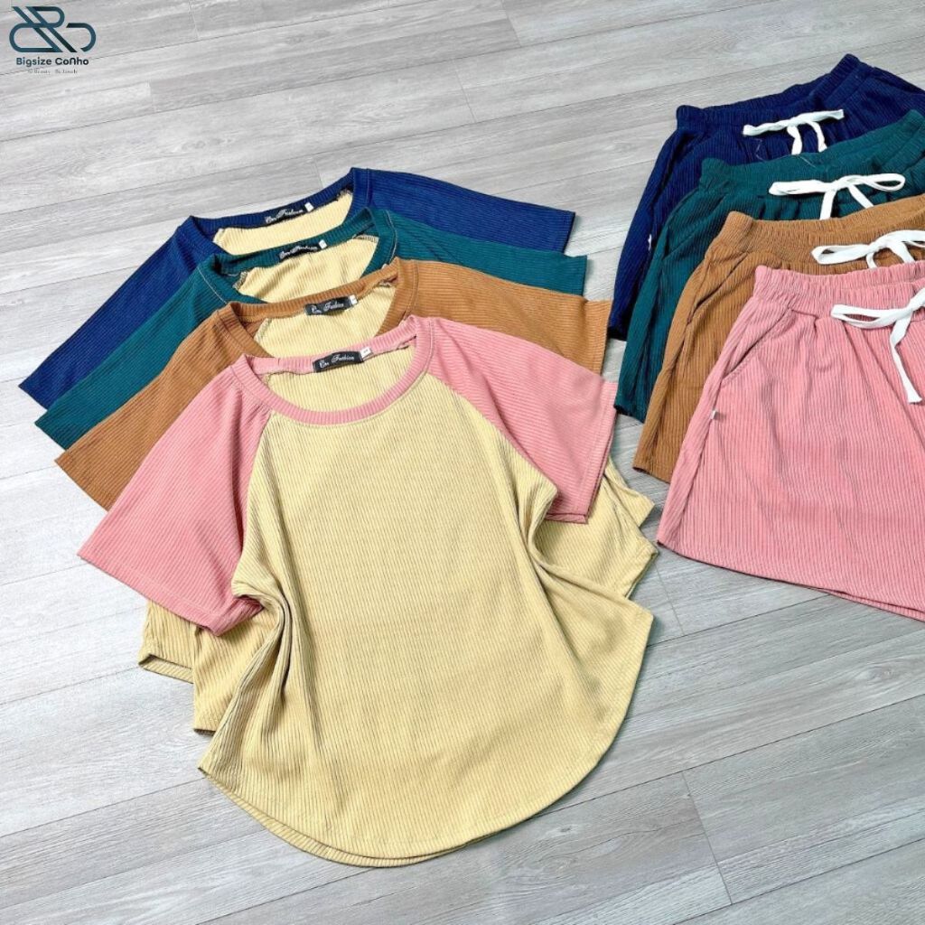 Bộ Đồ Thun Quần Đùi Bigsize Cô Nhỏ Cổ Tròn Viền Tay Phối Chất Gân Tăm Co Giãn Short Thun Co giãn Dễ Thương SRL24
