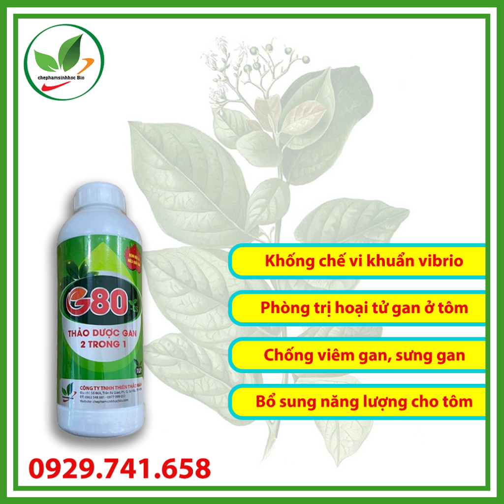 Thảo dược gan 2 trong 1 G80. Phòng bệnh viêm gan, sưng gan, vàng gan, teo gan chuyên dùng cho thủy sản. Chai 1 lít