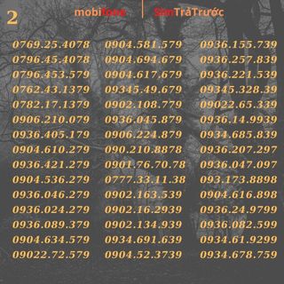 Sim mobifone 4g đầu 09 , số đẹp,phong thủy và giá rẻ. đăng ký được gói cước DTHN vào mạng chỉ 50k/tháng có ngay tỷ gb.