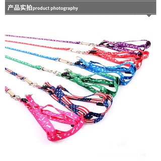 Dây dắt yếm thú cưng chó mèo mỏng 1.0cm 1.5cm (<4kg)