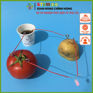 Bộ thí nghiệm Máy phát điện từ trái cây. Đồ chơi giáo dục khoa học sáng tạo dành cho bé STEM3G