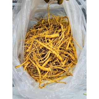 Rễ Sâm Hàn Quốc 0,5Kg và 1Kg