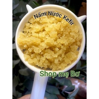 Water Kefir _ Nấm Nước Kefir   Kefir Dừa  Nấm Làm Nước Ngọt Có Ga < Kèm Hướng Dẫn Nuôi Chi Tiết Và Bảo Hành > 