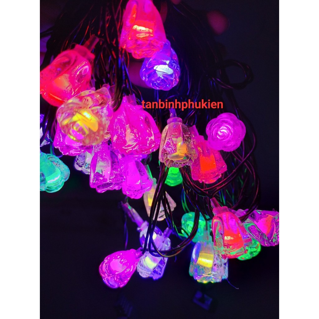 Dây đèn hoa hồng, đủ màu dài 8m, dây đen, có chớp