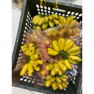 Chuối Cau - Chỉ Giao Hỏa Tốc HCM