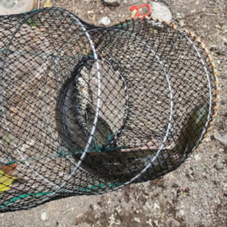 Lồng Lò Xo Bắt Cua, Ếch, Rùa, Ba Ba, Nhái, Lồng Bát Quái 2 Cửa Ngục Bẫy Cống Ao Sông, Lò Xo Đen 60x110cm Siêu Bền