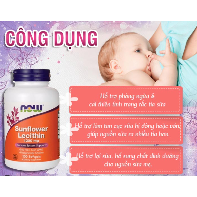 Viên uống chống tắc tia sữa Lecithin 1200mg Now Sunflower Lecithin 100v, 200v