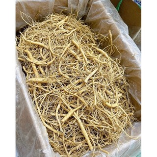 Rễ Sâm Hàn Quốc 0,5Kg và 1Kg