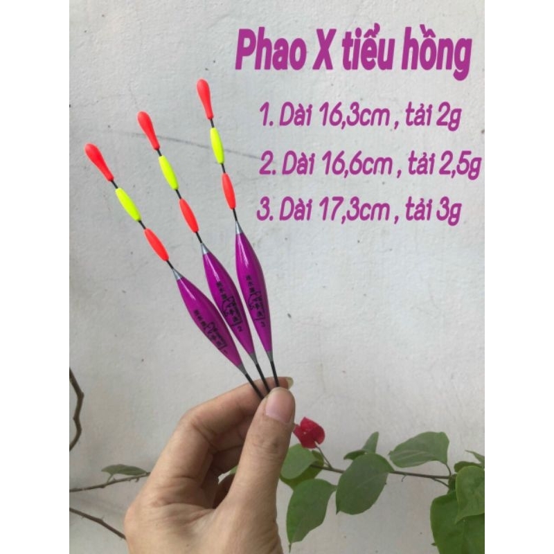 Phao câu lửng tăm to chuyên chép, rô mã XA
