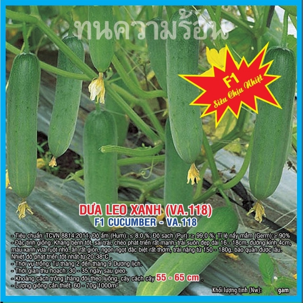 Hạt giống Dưa Leo Xanh F1 (VA.118) Chịu Nhiệt 10 gram