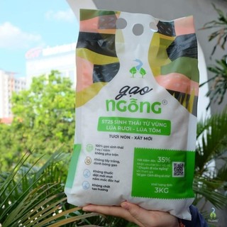 Gạo ST25 - Gạo Ngỗng
