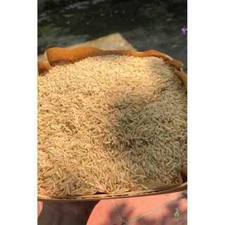 Gạo ST25 - Gạo Ngỗng