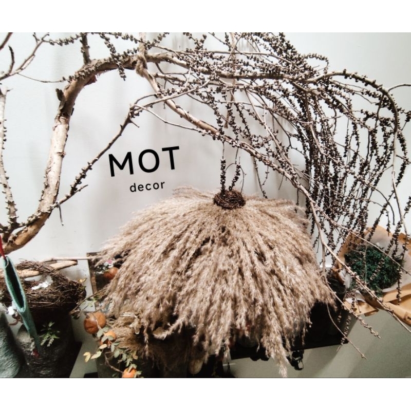 Đèn lồng cỏ lau PAMPAS ,đèn thả trần, đèn treo decor handmade độc đáo handmade trang trí ks, homestay hoặc quán cafe ...
