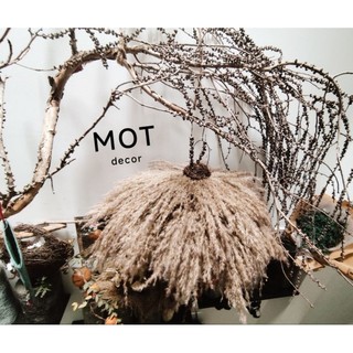 Đèn lồng cỏ lau PAMPAS ,đèn thả trần, đèn treo decor handmade độc đáo handmade trang trí ks, homestay hoặc quán cafe ...