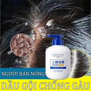 dầu gội sạch gàu Dầu Gội Trị Gàu Dầu gội loại bỏ mạt dầu gội giảm ngứa 300ml Làm sạch sâu, giảm gàu và ngứa