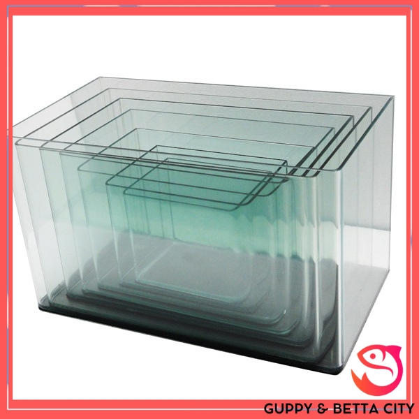 Bể cá mini | Bể kính đúc size 18x13x15cm | Bể cá cảnh, hồ thủy sinh mini tặng cây thuỷ sinh dễ trồng