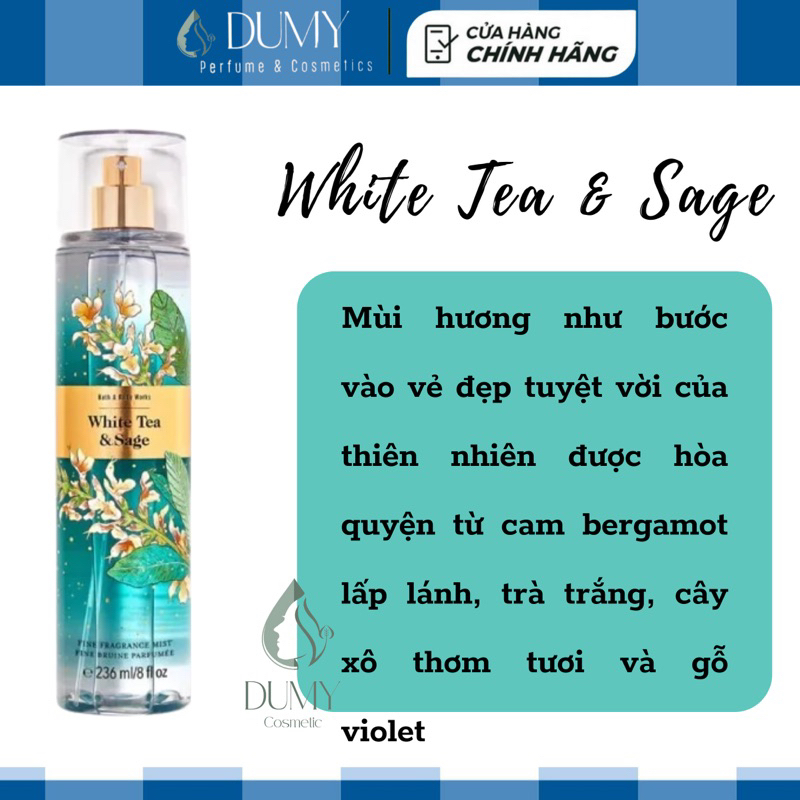 hương nước hoa