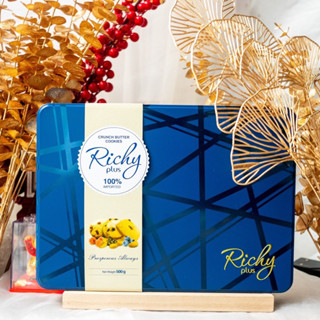Bánh Richy Plus hộp thiếc 500g-có ship hỏa tốc HCM