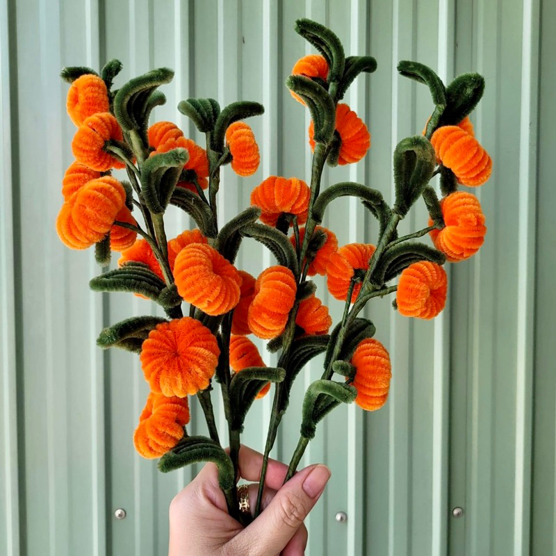 Nguyên Liệu Tự Làm 5 Cành Quả Quýt Kẽm Nhung | Lyna Flowers