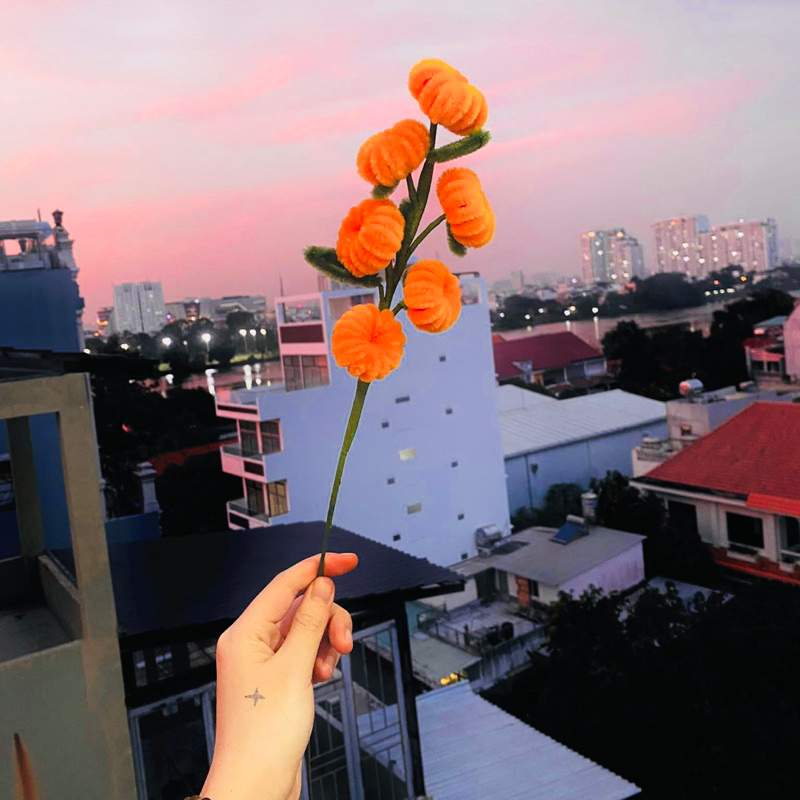 Nguyên Liệu Tự Làm 5 Cành Quả Quýt Kẽm Nhung | Lyna Flowers