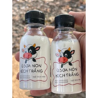 Kích Trắng Ủ Sữa Non Con Bò 100ml