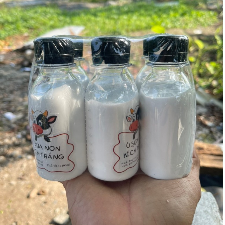 Kích Trắng Ủ Sữa Non Con Bò 100ml