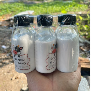 Kích trắng ủ sữa non con bò 100ml