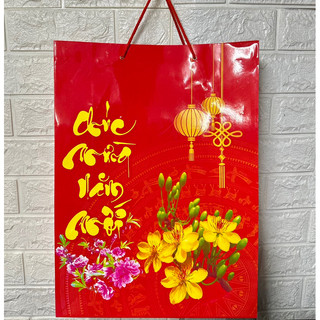 [GIÁ SỈ] Combo 10 Chiếc Túi Giấy đựng quà Chúc Mừng Năm Mới Tiện Lợi, túi tặng quà Gọn Nhẹ Đủ Size
