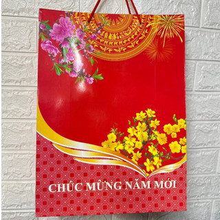 Combo 10 Chiếc Túi Giấy Chúc Mừng Năm Mới Tiện Lợi Gọn Nhẹ Đủ Size