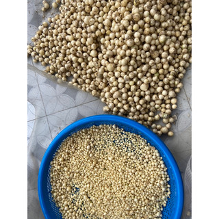 500gr hành tăm, củ nén lựa củ to