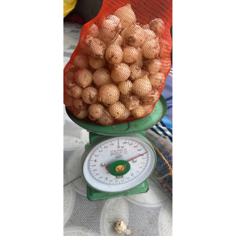 500gr hành tăm, củ nén lựa củ to