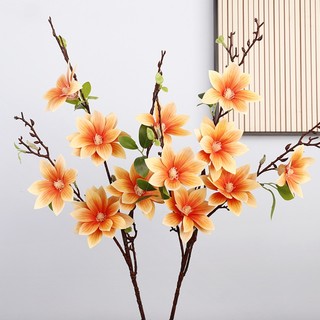 Cành hoa mộc lan nhiều màu decor trang trí bình