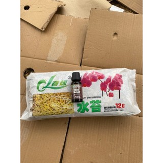 Vườn to combo chiết cành cây trồng gồm giá thể chiết và kích rễ