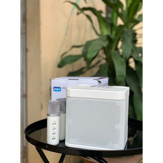 Loa bluetooth YS 203
