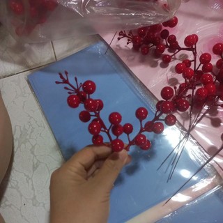 Nhánh đào đông (1 nhánh nhỏ)