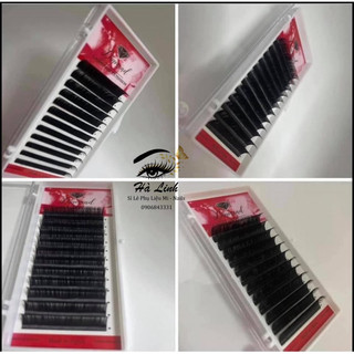 Mi Diamon Mix size từ 8-13 cong C CC D U