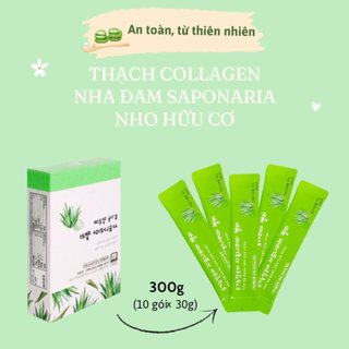 Thạch nha đam saponaria và nho xanh- hộp