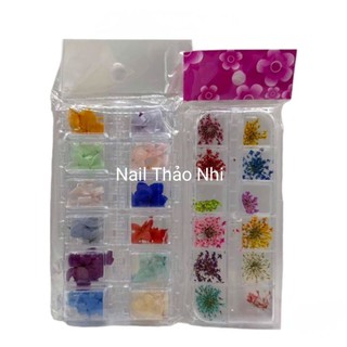 Set hoa khô 12 màu trang trí móng, hoa chùm, hoa giấy nail thao nhi