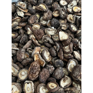 Nấm hương rừng Tây Bắc