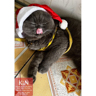 Nón noel nhung 2size