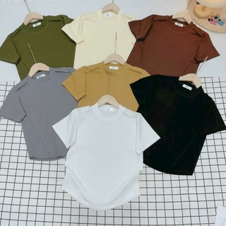  Áo Baby Tee Trơn Vạt Bầu Full Màu Vải Borip Quảng Châu 4 Chiều - Dư Tú Lệ Shop 
