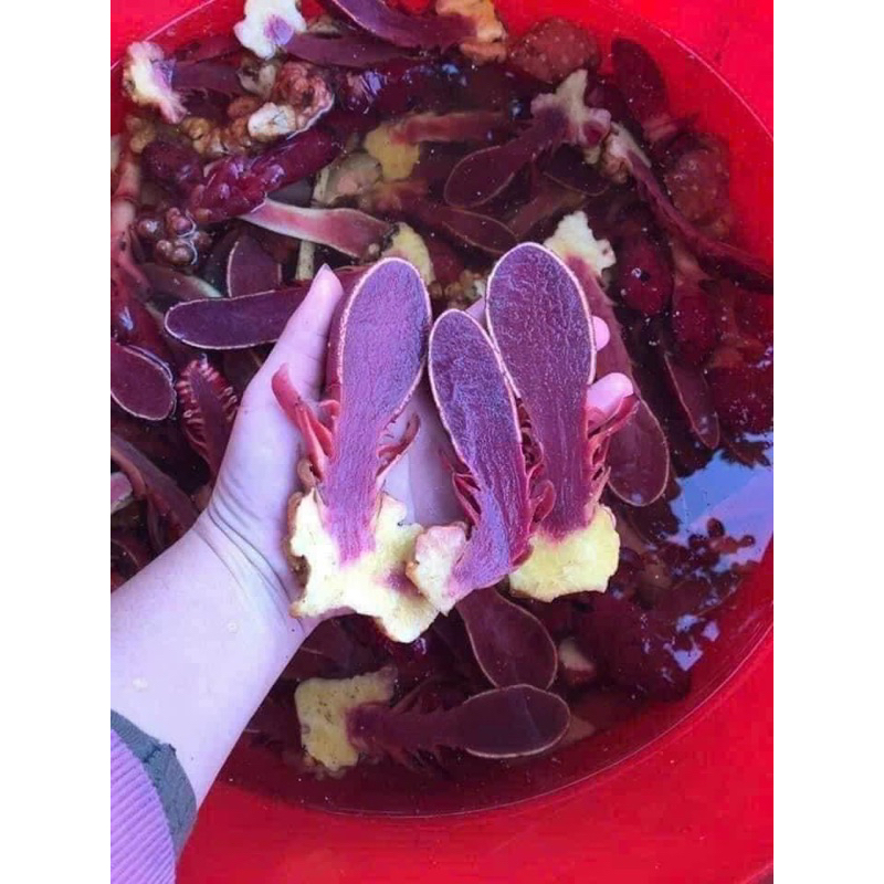 Nấm Ngọc Cẩu 1kg Hút Chân Không